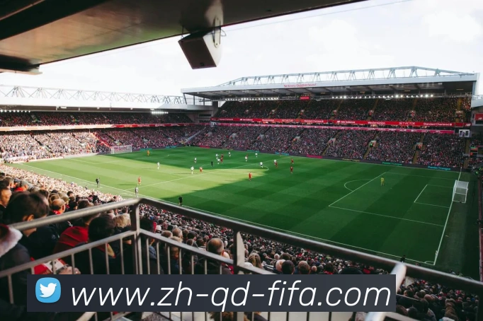 世界杯赛程服务体系